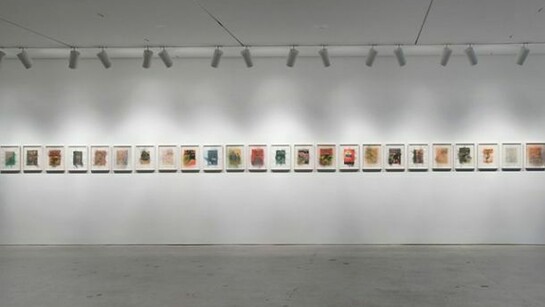 Drew Heitzler, Installation View, 2013