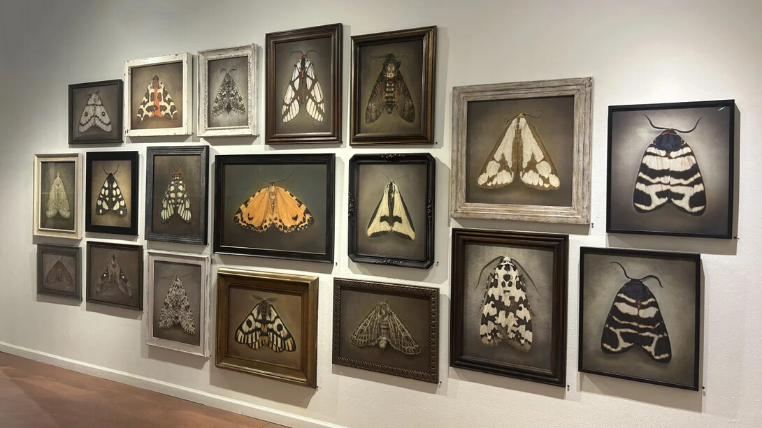 Kate Breakey and Samuel James, To the dark and the endless skies, exhibition view. Courtesy of Etherton Gallery