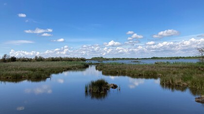 La laguna di Caorle è un'oasi naturale affascinante, dove si possono ammirare casoni tradizionali e una ricca biodiversità. Caorle, Veneto, Italia. Ph Flavius Roversi