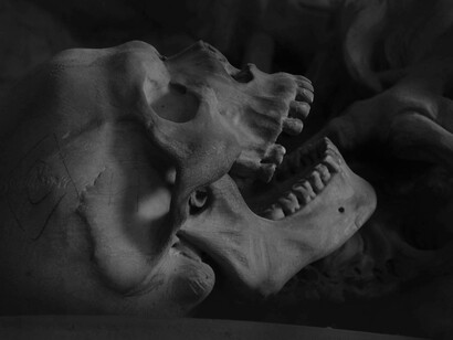 Skull of a Homo sapien as described in Charles Darwin's research