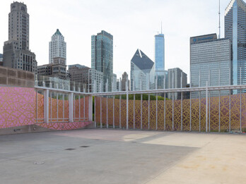 Judy Ledgerwood. Courtesy of Art Institute of Chicago