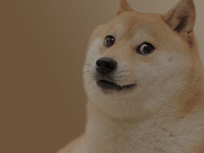 A meme featuring a dog, often used to convey humor, positivity, or relatable everyday scenarios