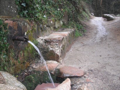 De su grueso caño brota un agua fresca, que según cuentan es de las mas buenas del macizo, y además cura de manera muy efectiva los cálculos renales. Fuente de las Paitides, Montseny, Catalunya, España