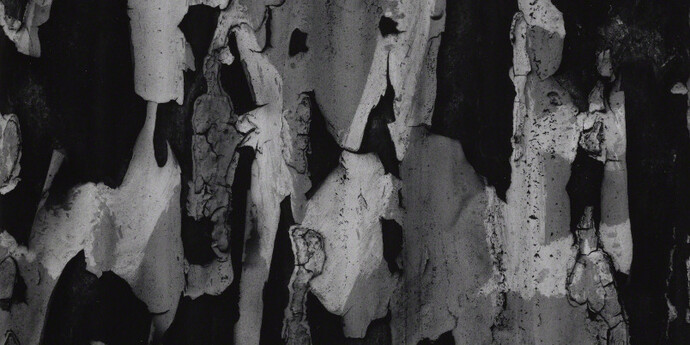 Aaron Siskind. Courtesy of Galerie Julian Sander 