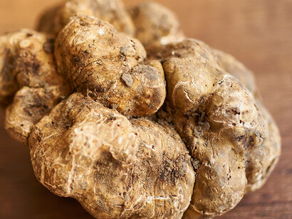 Tartufo bianco d'Alba