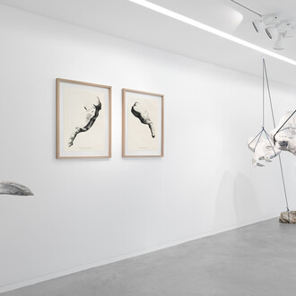 Capucine Vever, Là où s'effondrent les dragons, vue d'exposition. Avec l'aimable autorisation de la Galerie Eric Mouchet