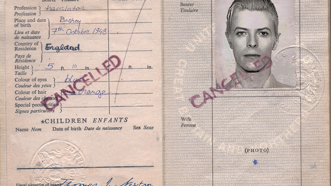 Vuk Vidor, TJ Newton Passport, Courtesy Galerie Magda Danysz