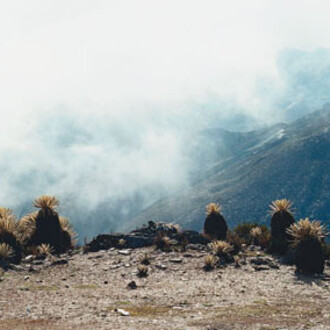 Axel Hütte
Pico de Aguila, Venezuela
1998
c-print
187x237cm/732/3x931/3in
Edition of 4
courtesy the artist and Daniel Marzona, Berlin
