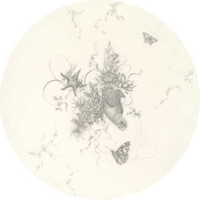 Eva Nolan, King Parrot and Wandering Anemone, 2023, graphite pencil on paper, acrylic frame, 20x20 cm. Courtesy the artist and Olsen Gallery, Sydney