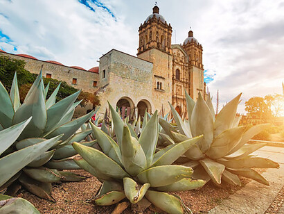 Santo Domingo Convent in Oaxaca City, Mexico