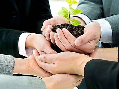 Collaborative hands of a business team cradle a plant, embodying their collective commitment to nurture growth and foster success