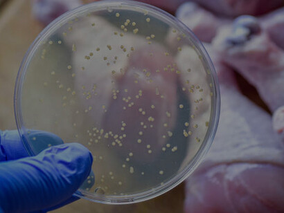 Salmonella and E. coli outbreak linked to chicken meat