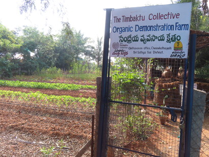 Organic crops demonstration plot, Timbaktu Collective - towards local self-reliance for food @ Ashish Kothari