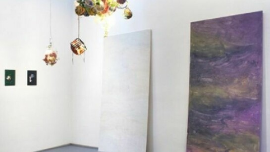 Alex Kwartler and Elke Solomon, Installation at Klaus von Nichtssagend Gallery