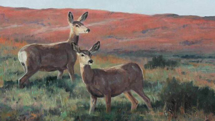 Wildlife Discovery 2019. Courtesy of Trailside Galleries