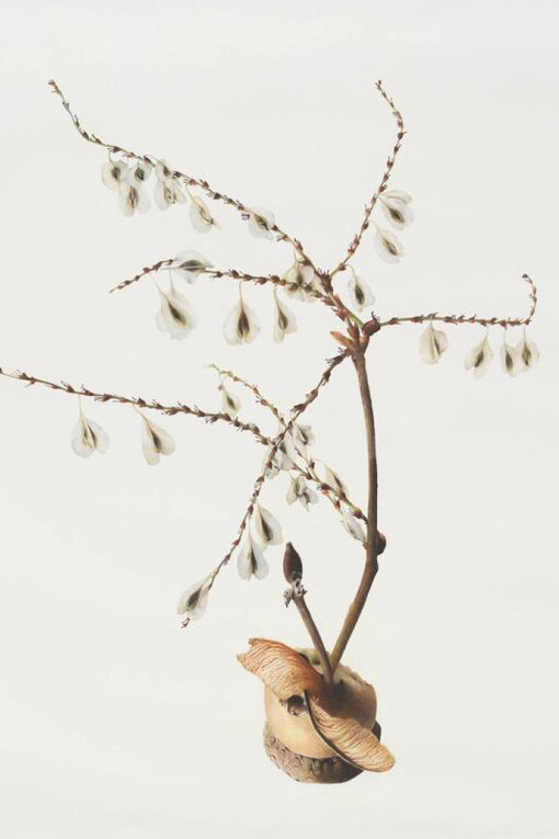 Sareh Imani, When the wind dies down, and the rain grows gentle 10, 2024. Courtesy of 56 Henry