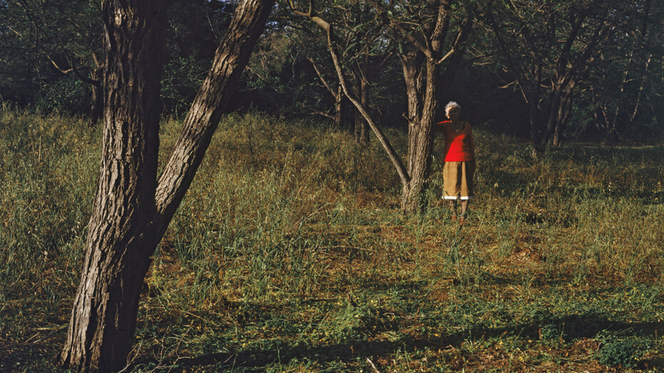 Tamar Avni, Orchard Untitled #7, Lambda Print, 27" x 39"