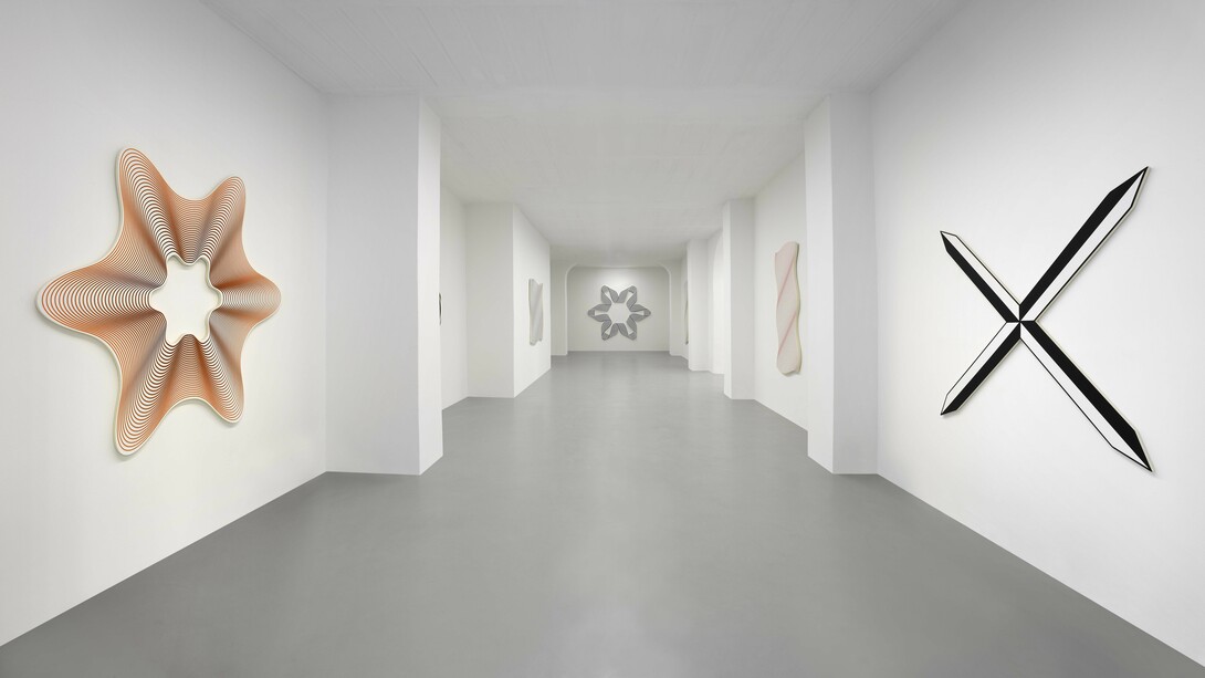 Philippe Decrauzat, Teatro anatomico, exhibition view. Courtesy of Galleria Poggiali