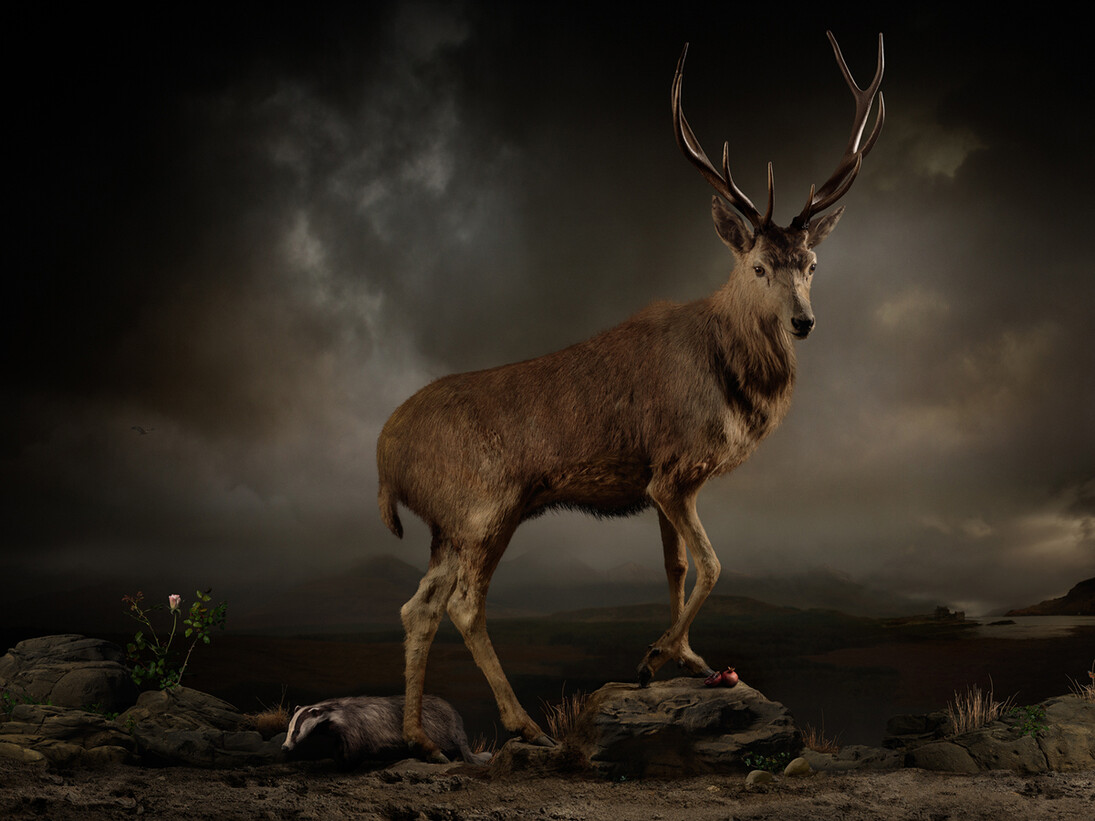 Joseph McGlennon, Skyestag 8