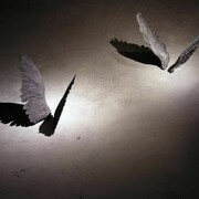 Francesca Grilli, Oro, performance installation, 2011