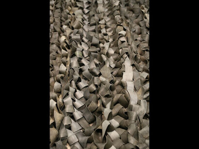 Swarm. Courtesy of PAFA