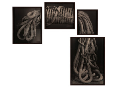 Rope, 2013 59 x 69 inches sepia toned silver gelatin print by David Halliday
