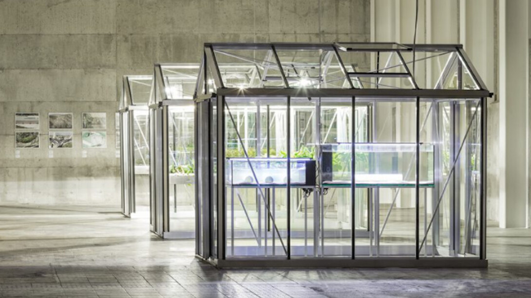 Extinct in the Wild, Exhibition view. Courtesy of Fondazione Prada