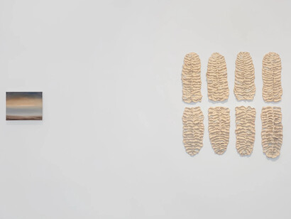 Ana Sant’Anna e Anália Moraes, Entremarés, vista da exposição. Cortesia da Galeria Marilia Razuk