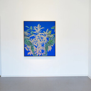 Fidencio Fifield-Perez, The passing of a shadow, exhibition view. Courtesy of Dreamsong Gallery