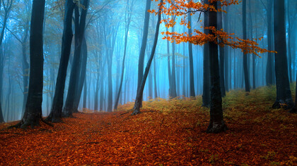 Quiete autunnale