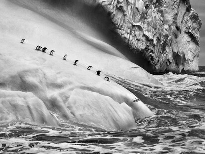 Sebastião Salgado. Courtesy of Sundaram Tagore Gallery