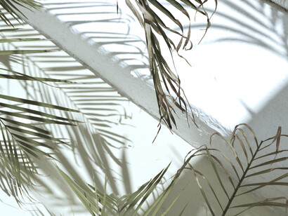 Dicen que el sentido común, es el menos común de los sentidos