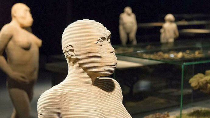 Gallery of Humankind. Courtesy of Royal Belgian Institute of Natural Sciences