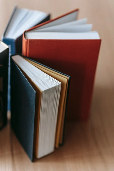 Para entender la realidad es necesario recurrir a los libros