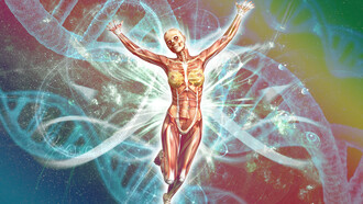 Si bien la experiencia del amor es subjetiva y compleja, la ciencia ha comenzado a desentrañar los mecanismos biológicos que subyacen a este fenómeno universal