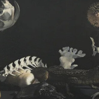 Grégory Derenne, Le crocodile (detail), 2022. Courtesy of Backslash Gallery