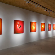 Gilles Tarabiscuité, Dis/Augmented reality 2.0, exhibition view. Courtesy of Art Mûr