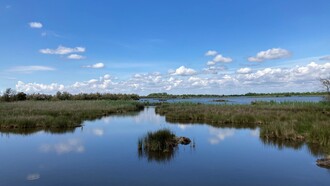 La laguna di Caorle è un'oasi naturale affascinante, dove si possono ammirare casoni tradizionali e una ricca biodiversità. Caorle, Veneto, Italia. Ph Flavius Roversi
