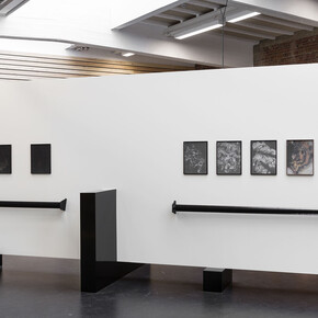 Dries Segers, Fungi, 2019. Installation view at POPPOSTIONS, Brussels, BE.