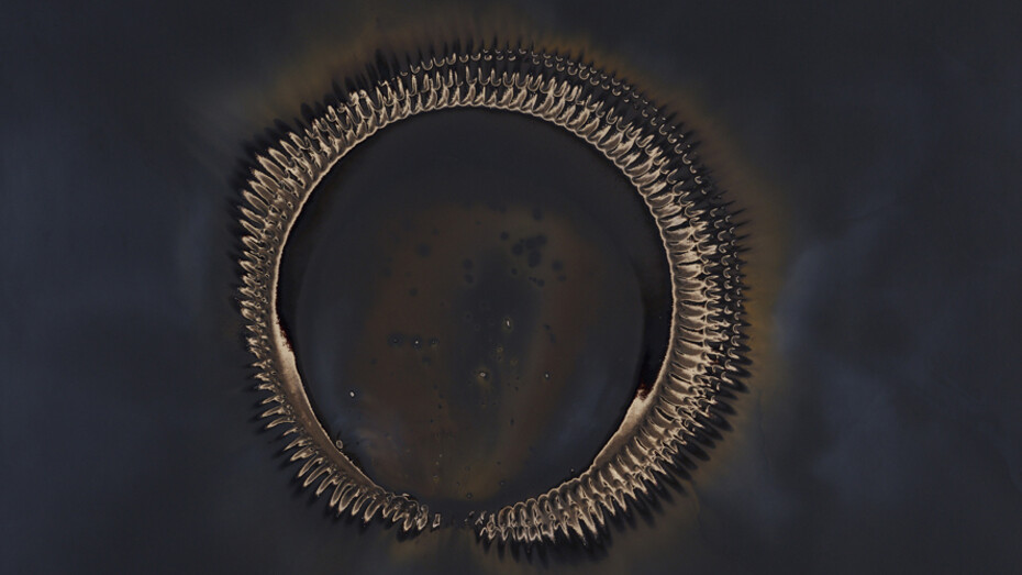 Not of this World. Courtesy of Rick Wester Fine Art