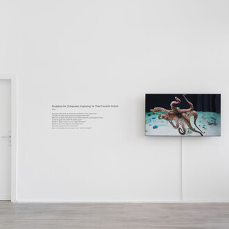 Shimabuku, Self-portrait, ausstellungsansicht. Mit freundlicher genehmigung der Galerie Barbara Wien