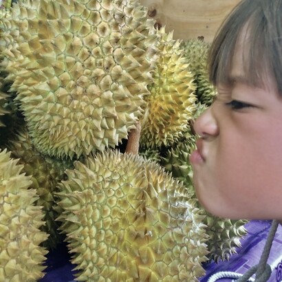 Le durian est surtout célèbre pour son odeur pestilentielle qui, de plus, se propage loin