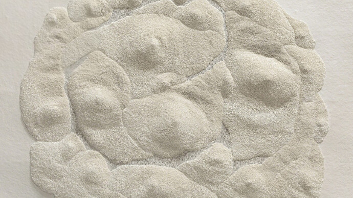 Fu Xiaotong. Courtesy of Chambers Fine Art