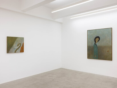 Tenki Hiramatsu, Smell of the lawn, veduta della mostra. Cortesia di kaufmann repetto
