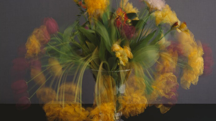 Michael Wesely. Courtesy of Casa Nova Arte e Cultura Contemporanea