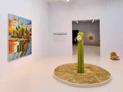 Alexis Mata and Raul De Lara, Fata morgana, exhibition view. Courtesy of The Hole