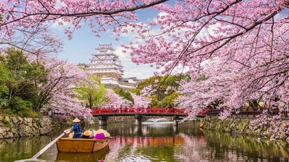 Japan is one of the main representatives of market capitalism
