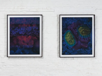 Renée Pevernagie, Shadow work, exhibition view. Courtesy of Verduyn Gallery