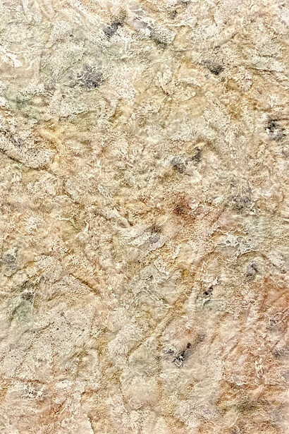 Geneviève Levivier, Un arbre à soi, vue de l'exposition. Avec l'aimable autorisation de la Galerie La Patinoire Royale Bach