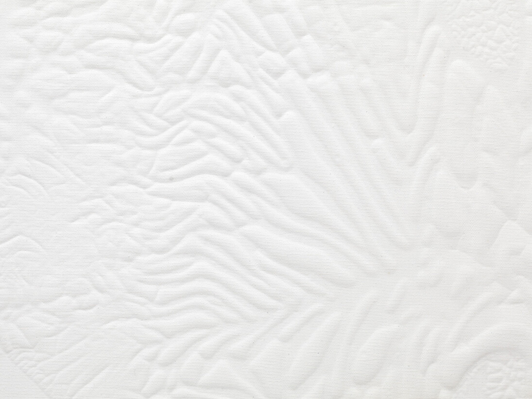 Santiago Taccetti, Untitled